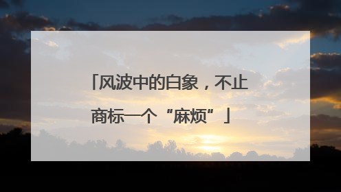 风波中的白象，不止商标一个“麻烦”