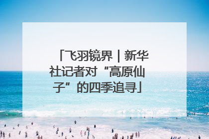 飞羽镜界｜新华社记者对“高原仙子”的四季追寻