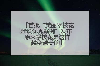 首批“美丽攀枝花建设优秀案例”发布 原来攀枝花是这样越变越美的