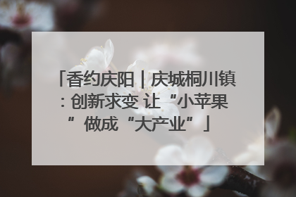 香约庆阳｜庆城桐川镇：创新求变 让“小苹果”做成“大产业”