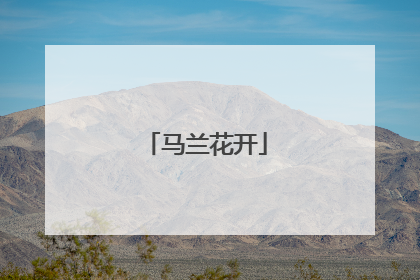 马兰花开