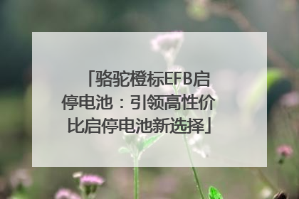骆驼橙标EFB启停电池：引领高性价比启停电池新选择
