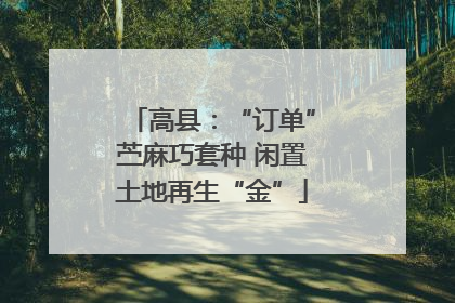 高县：“订单”苎麻巧套种 闲置土地再生“金”