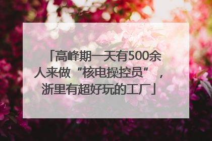 高峰期一天有500余人来做“核电操控员”，浙里有超好玩的工厂