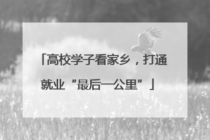 高校学子看家乡，打通就业“最后一公里”