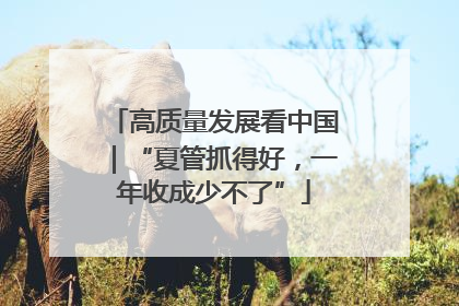 高质量发展看中国｜“夏管抓得好，一年收成少不了”