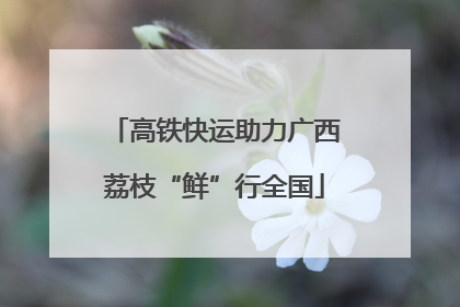 高铁快运助力广西荔枝“鲜”行全国