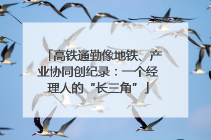 高铁通勤像地铁、产业协同创纪录：一个经理人的“长三角”