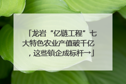 龙岩“亿链工程”七大特色农业产值破千亿，这些镇企成标杆→