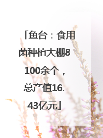 鱼台：食用菌种植大棚8100余个，总产值16.43亿元