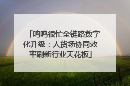 鸣鸣很忙全链路数字化升级：人货场协同效率刷新行业天花板