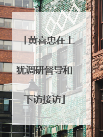 黄喜忠在上犹调研督导和下访接访