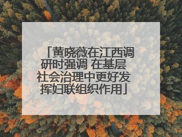 黄晓薇在江西调研时强调 在基层社会治理中更好发挥妇联组织作用