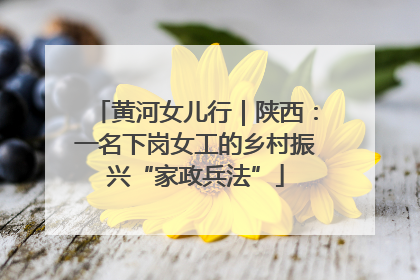 黄河女儿行｜陕西：一名下岗女工的乡村振兴“家政兵法”