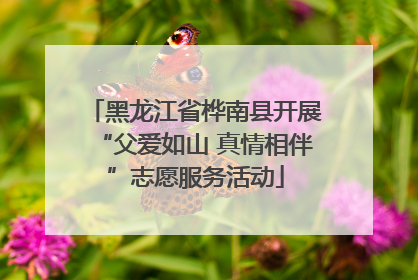 黑龙江省桦南县开展“父爱如山 真情相伴”志愿服务活动