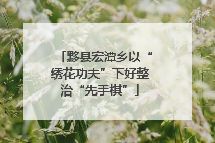 黟县宏潭乡以“绣花功夫”下好整治“先手棋”