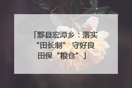 黟县宏潭乡：落实“田长制” 守好良田保“粮仓”