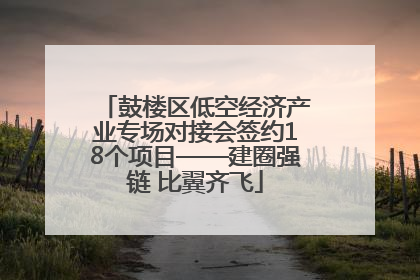 鼓楼区低空经济产业专场对接会签约18个项目——建圈强链 比翼齐飞
