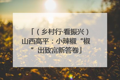 （乡村行·看振兴）山西高平：小辣椒“椒”出致富新答卷