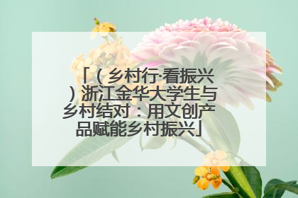（乡村行·看振兴）浙江金华大学生与乡村结对：用文创产品赋能乡村振兴