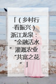 （乡村行·看振兴）浙江龙泉：“金融活水”灌溉农业“共富之花”