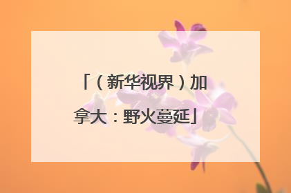 （新华视界）加拿大：野火蔓延