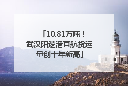 10.81万吨！武汉阳逻港直航货运量创十年新高