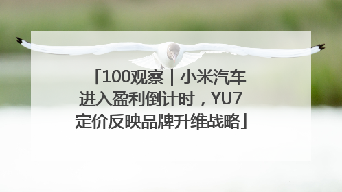 100观察｜小米汽车进入盈利倒计时，YU7定价反映品牌升维战略