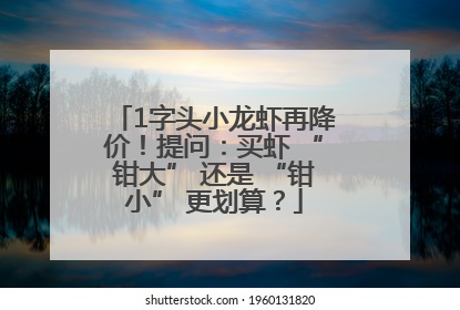 1字头小龙虾再降价！提问：买虾 “钳大” 还是 “钳小” 更划算？