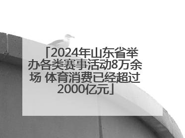 2024年山东省举办各类赛事活动8万余场 体育消费已经超过2000亿元