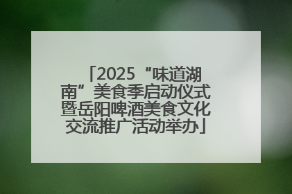 2025“味道湖南”美食季启动仪式暨岳阳啤酒美食文化交流推广活动举办