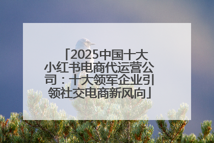 2025中国十大小红书电商代运营公司：十大领军企业引领社交电商新风向