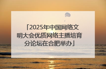 2025年中国网络文明大会优质网络主播培育分论坛在合肥举办