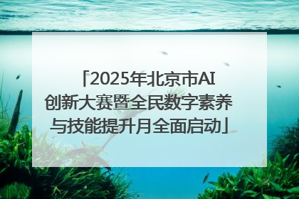 2025年北京市AI创新大赛暨全民数字素养与技能提升月全面启动