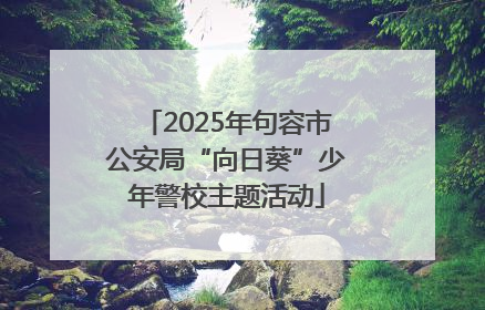 2025年句容市公安局“向日葵”少年警校主题活动