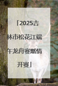2025吉林市松花江端午龙舟赛燃情开赛
