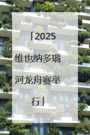 2025维也纳多瑙河龙舟赛举行