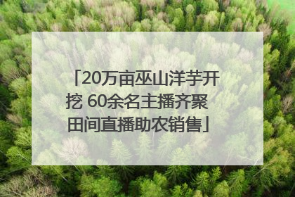 20万亩巫山洋芋开挖 60余名主播齐聚田间直播助农销售