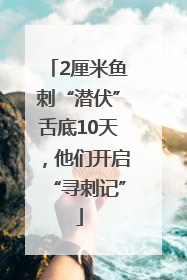 2厘米鱼刺“潜伏”舌底10天，他们开启“寻刺记”