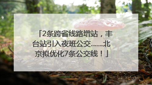 2条跨省线路增站，丰台站引入夜班公交……北京拟优化7条公交线！