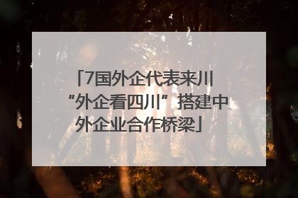 7国外企代表来川 “外企看四川”搭建中外企业合作桥梁