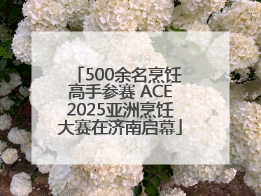 500余名烹饪高手参赛 ACE2025亚洲烹饪大赛在济南启幕