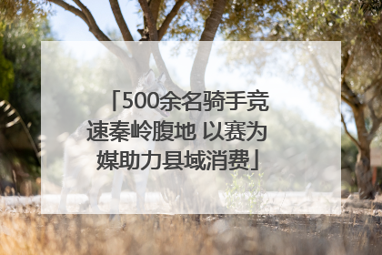500余名骑手竞速秦岭腹地 以赛为媒助力县域消费
