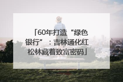 60年打造“绿色银行”：吉林通化红松林藏着致富密码