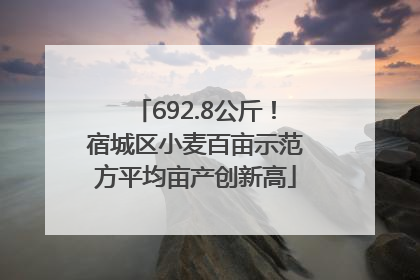 692.8公斤！宿城区小麦百亩示范方平均亩产创新高