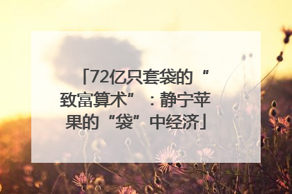 72亿只套袋的“致富算术”：静宁苹果的“袋”中经济