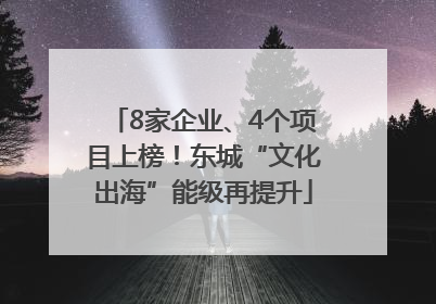 8家企业、4个项目上榜！东城“文化出海”能级再提升