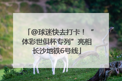 @球迷快去打卡！“体彩世俱杯专列”亮相长沙地铁6号线