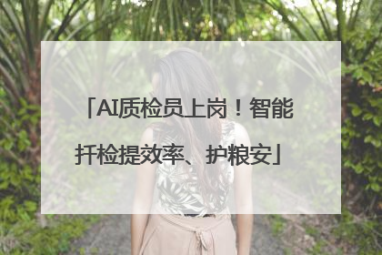 AI质检员上岗！智能扦检提效率、护粮安