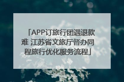 APP订旅行团遇退款难 江苏省文旅厅督办同程旅行优化服务流程